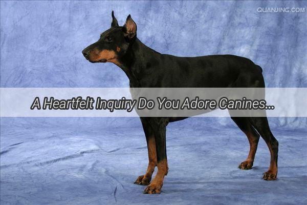 A Heartfelt Inquiry Do You Adore Canines as Much as We Do